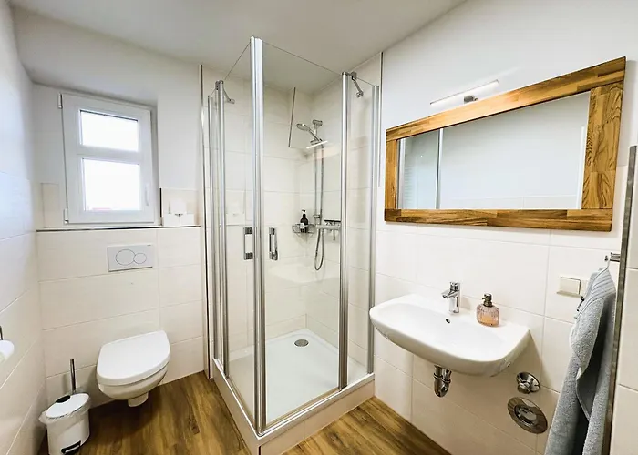 Apartmenthaus Landeskrone Dresden Fuer Gruppen Bis 20 Personen, 2 Wohnungen, Sauna, Dachterrasse & Garten Διαμέρισμα *