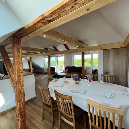 Apartmenthaus Landeskrone Fuer Gruppen Bis 20 Personen, 2 Wohnungen, Sauna, Dachterrasse & Garten * Dresden