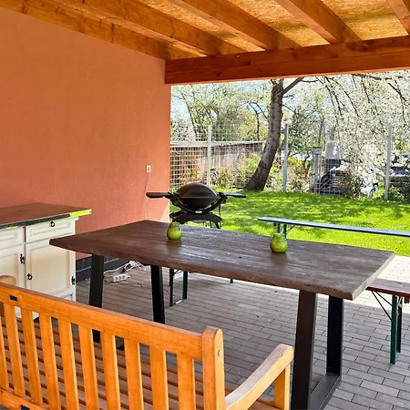Apartmenthaus Landeskrone Fuer Gruppen Bis 20 Personen, 2 Wohnungen, Sauna, Dachterrasse & Garten Apartamento Dresden