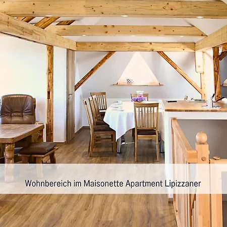Zusammenzeit Dresden, 2 Apartments, Andalusier 4 Schlafzimmer & Balkon, Lipizzaner 5 Schlafzimmer & Sauna & Dachterrasse, Bus Vor Der Tuer Dresden