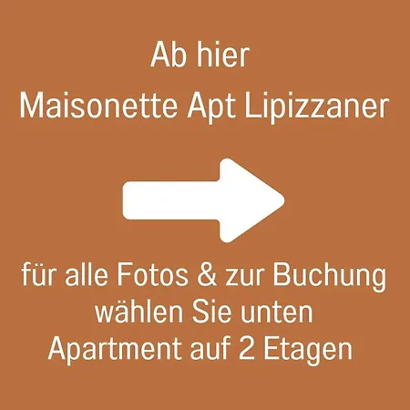 Appartement Zusammenzeit Dresden, 2 Apartments, Andalusier 4 Schlafzimmer & Balkon, Lipizzaner 5 Schlafzimmer & Sauna & Dachterrasse, Bus Vor Der Tuer